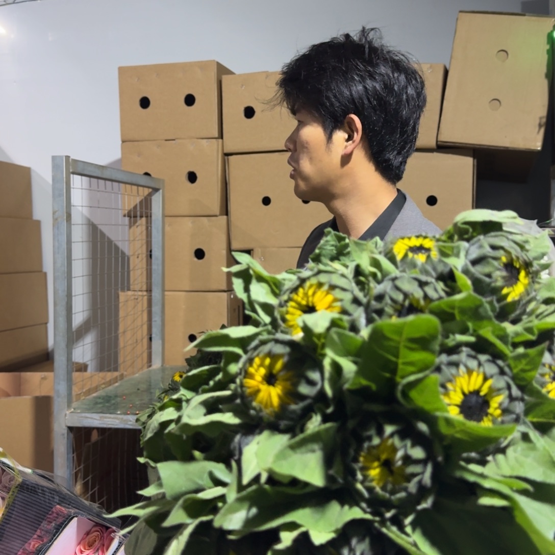 中小花黑心向日葵20支