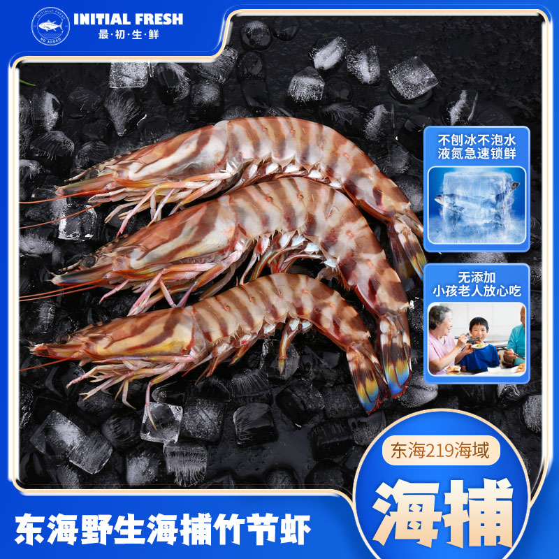 最初生鲜正宗东海本港野生海捕竹节虾九节虾