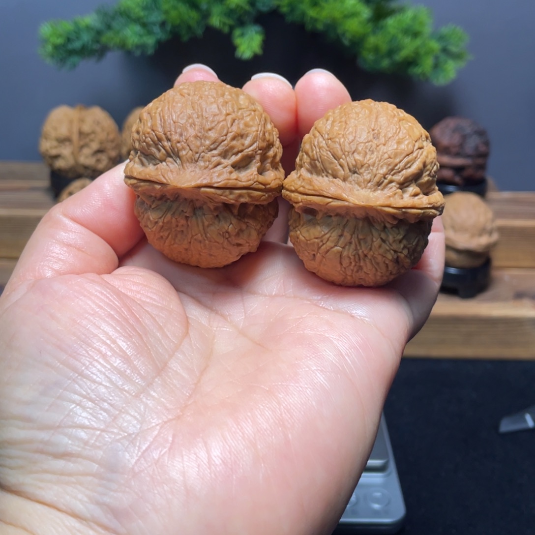 把件文玩核桃云南铁核桃10