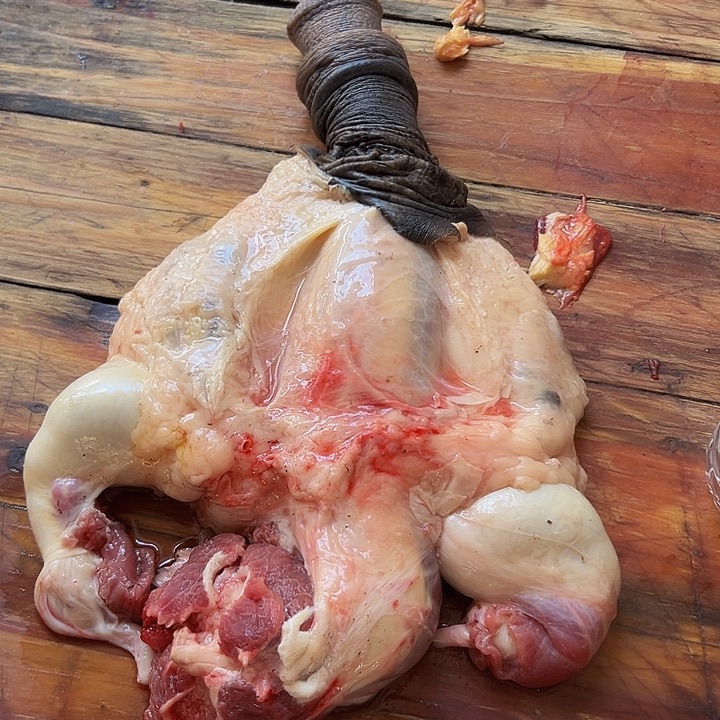 广西土耕马马肉、沙姜炒马肉中国大陆