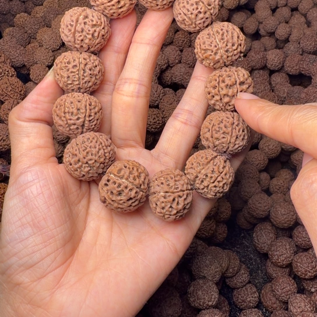 金刚菩提手串7瓣卡23尺，100号