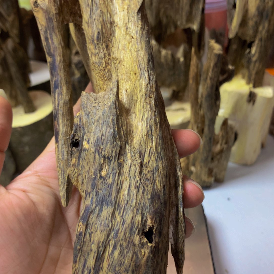 沉香沉香碎屑蓝宝石虫漏120克