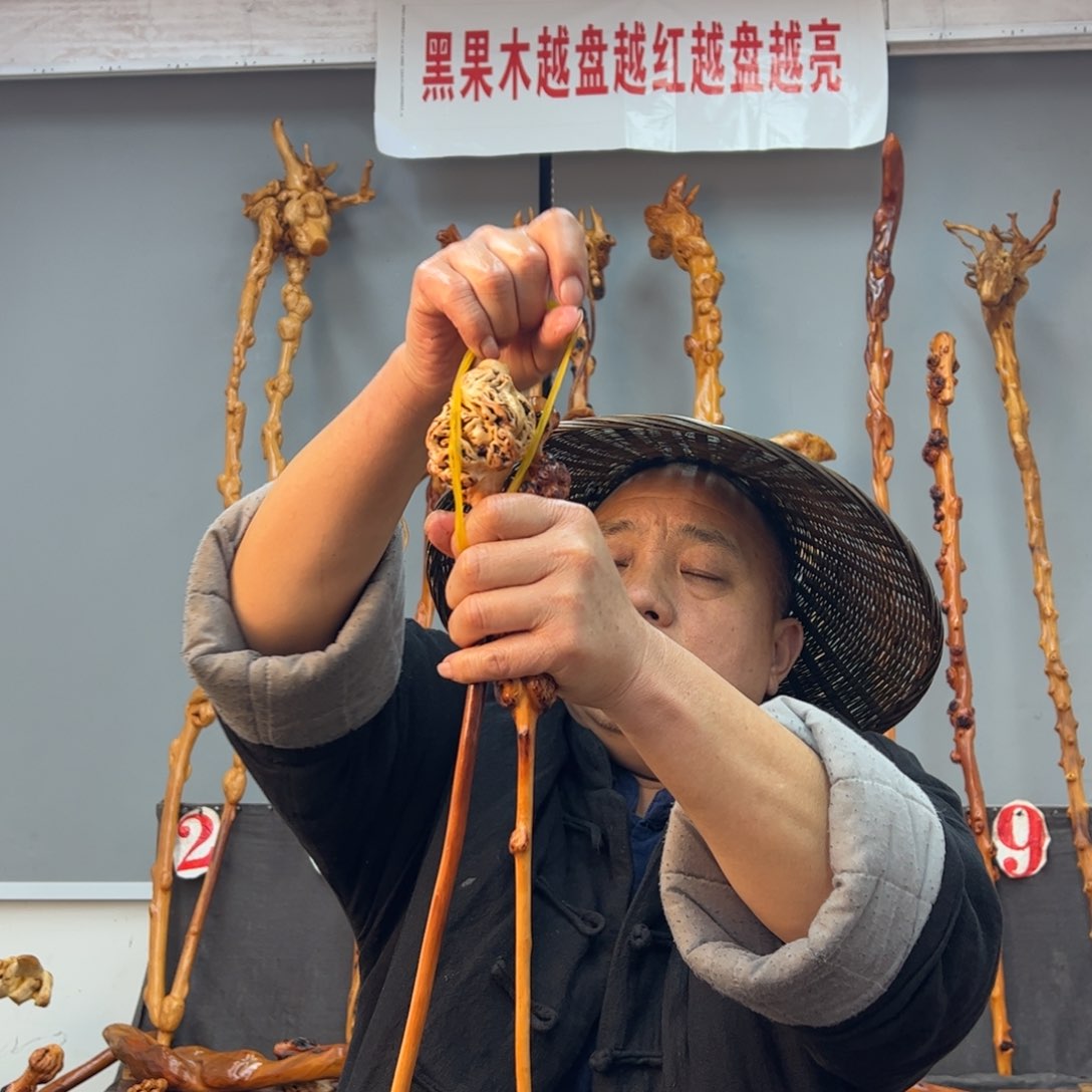 黑果木其他黑果木231