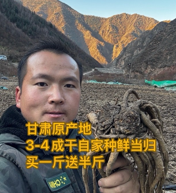 甘肃原产地自家种药当归新鲜当归3-4成干（多少带点土多送250g）