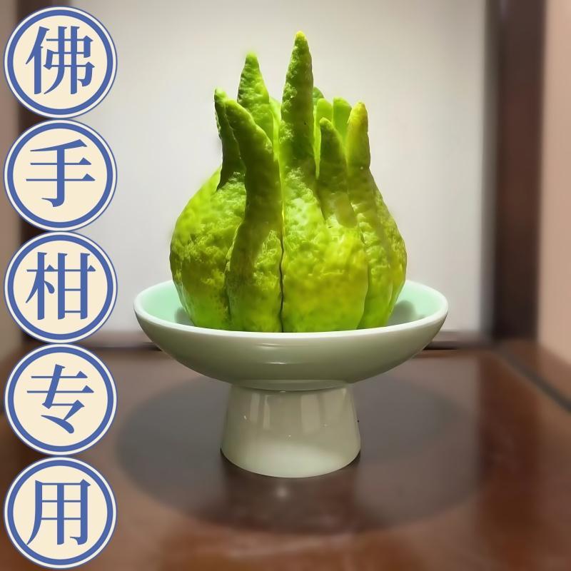 W佛手柑花瓶器皿托盘中式复古摆放摆盘观赏佛手托盆养花容器盘子