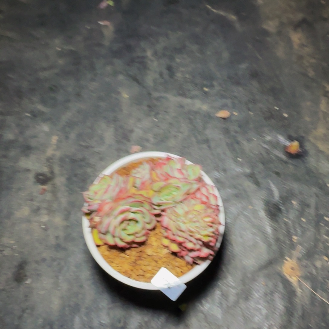 p p p p p p p p p p 74