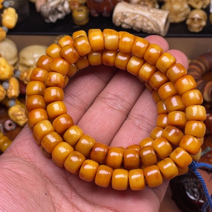 驼骨摆件人工养殖