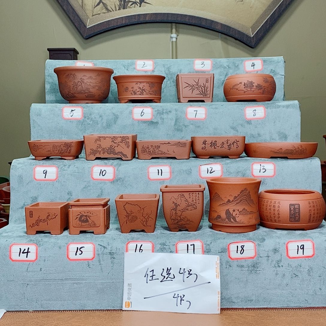 紫砂花盆我在等一