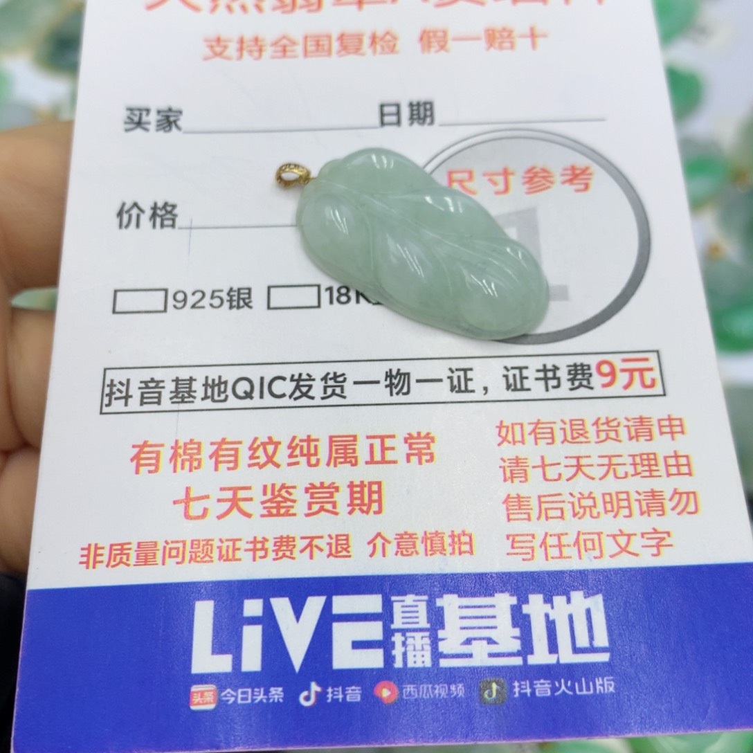 翡翠颈饰未镶嵌翡翠