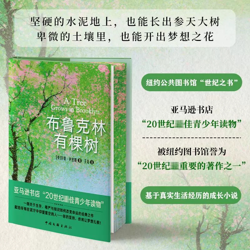 布鲁克林有棵树 少年读物成长小说以教育之名完成人生自我救赎