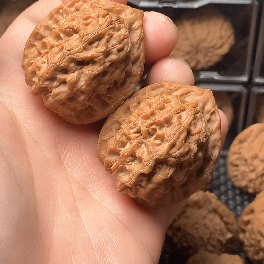 核桃手串/手链观音肚尺寸37