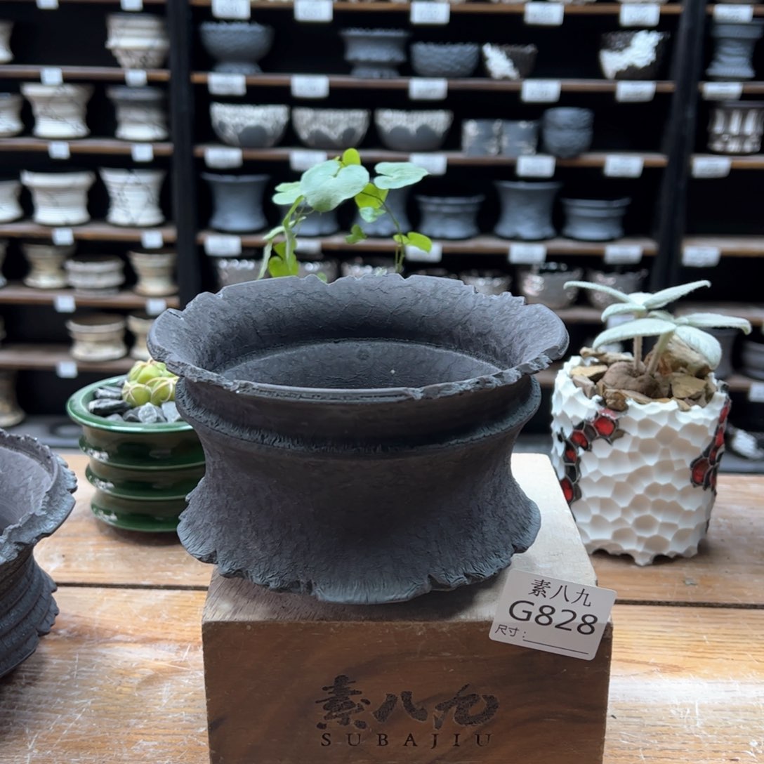 素八九陶瓷内口15高9.5瑕疵