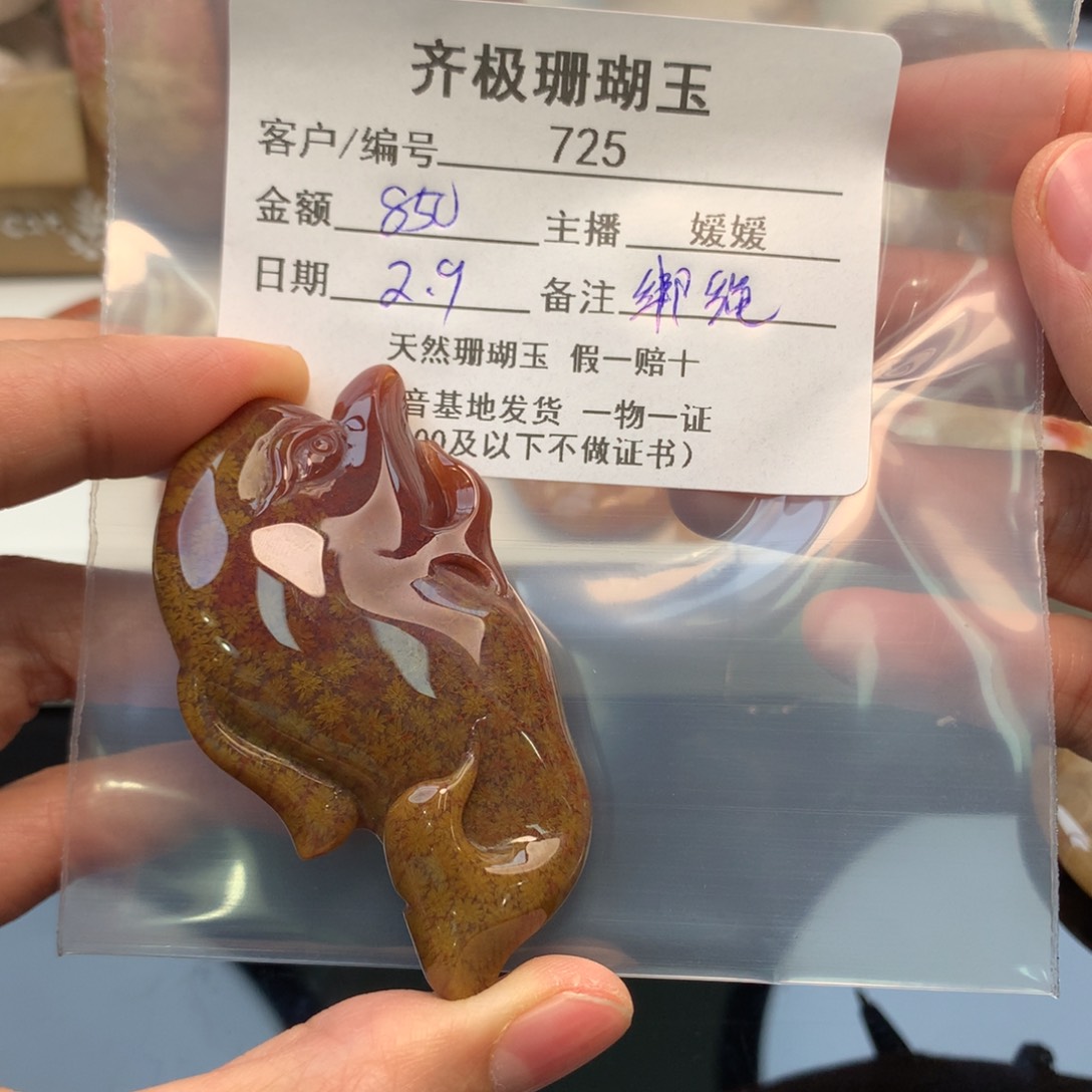 硅化珊瑚（珊瑚玉）颈饰未镶嵌都**云