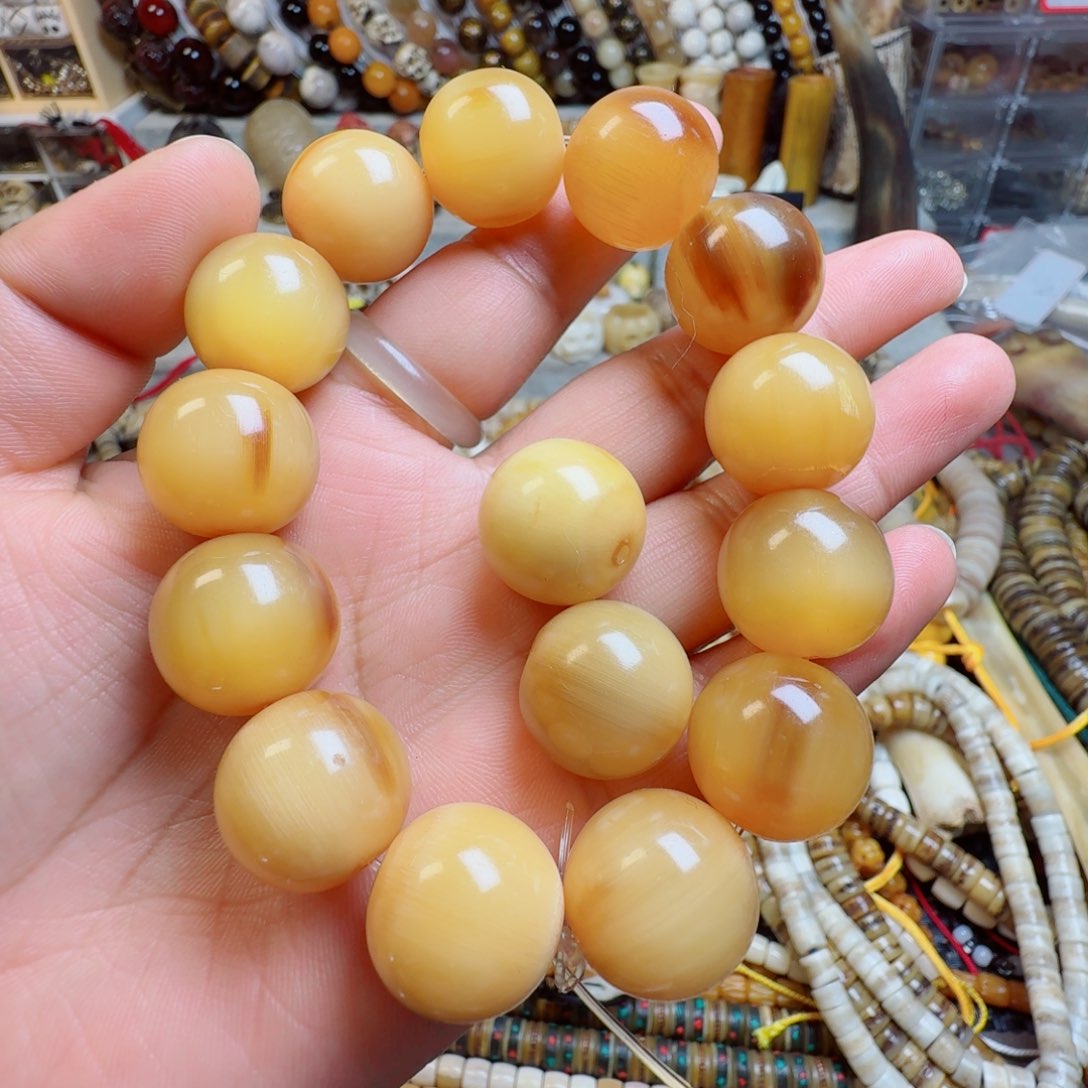 其他牛骨00000000000561