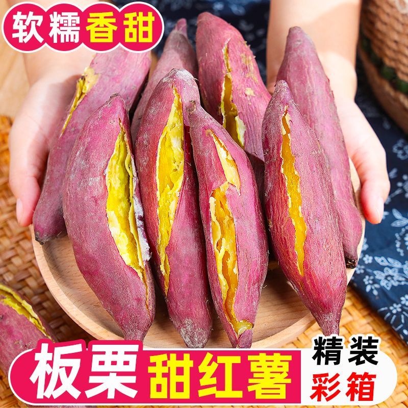 正宗板栗红薯新鲜蜜薯沙地超甜现挖红薯地瓜香甜