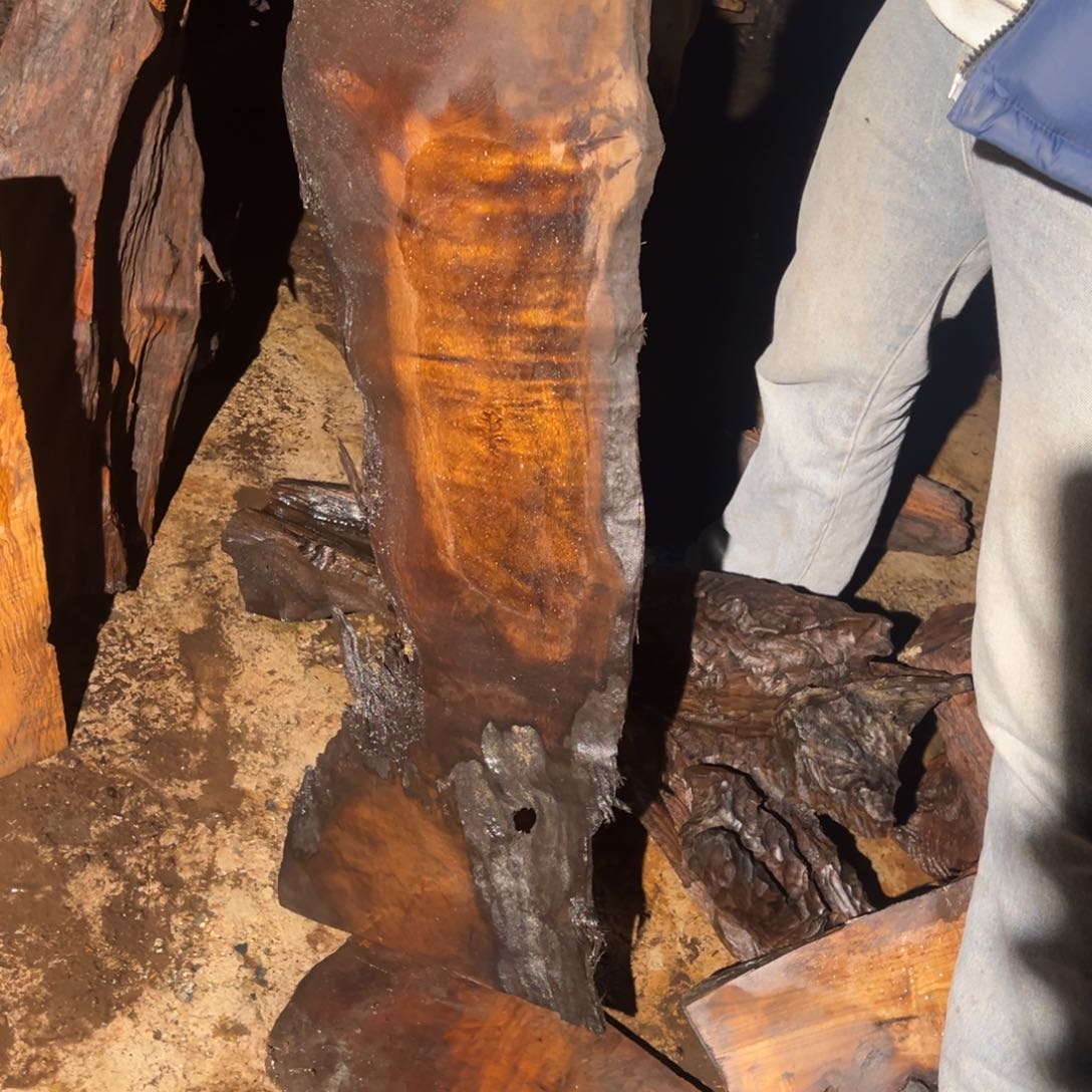 金丝楠用****222222222