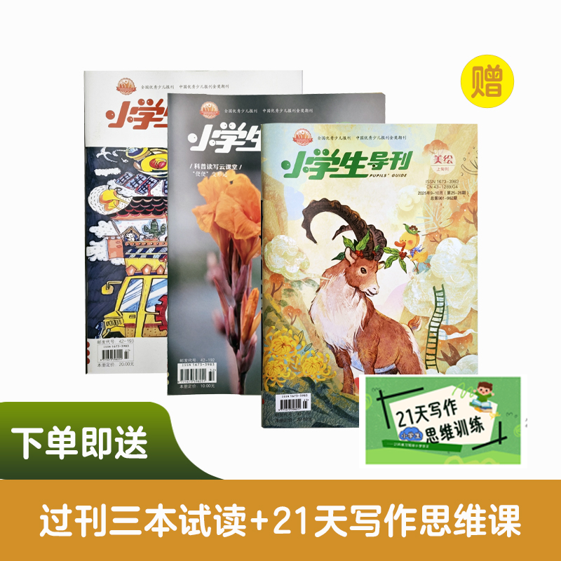 《小学生导刊》美绘 一二年级用 冰心题刊 学生期刊杂志 全年订阅