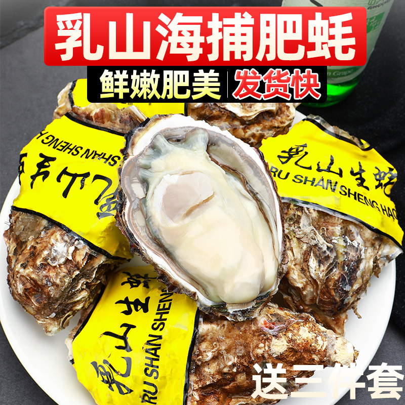 5斤精品乳山生蚝鲜活牡蛎正宗原产地直发现捕新鲜大号肥美