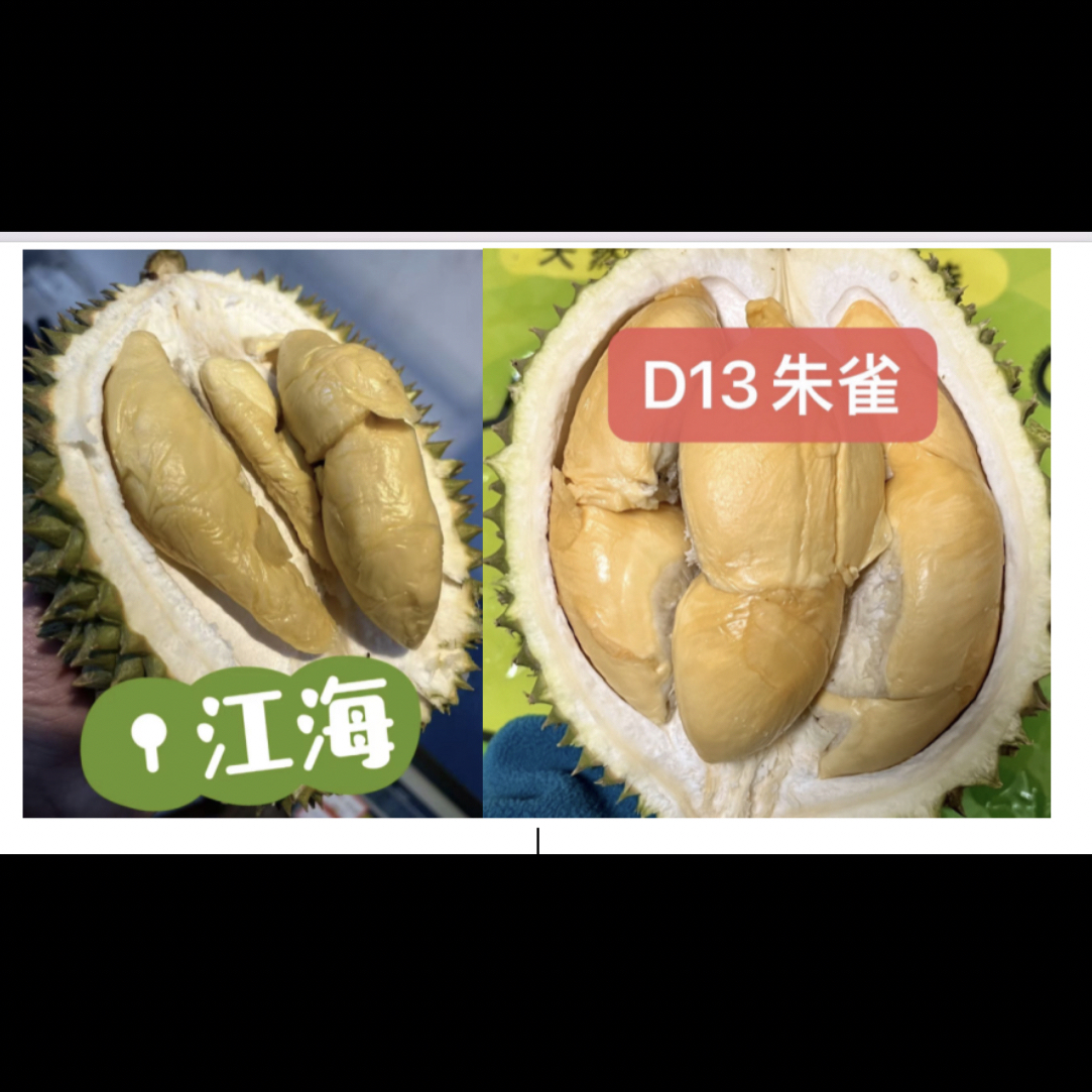 猴哥鲜果朱雀和红肉和竹脚和狐王和xo等小品种组合马来西亚直飞