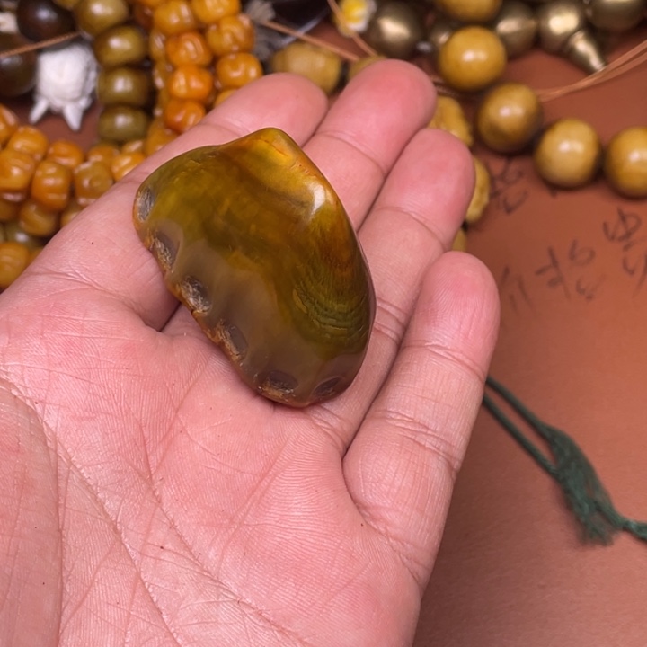 驼骨其他人工养殖