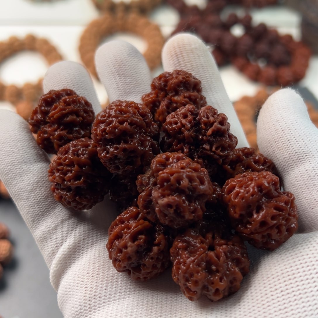 金刚菩提手串❄️****原生傲骨梅花顶奢毕业25