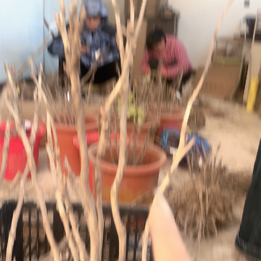 完全开放11111111111