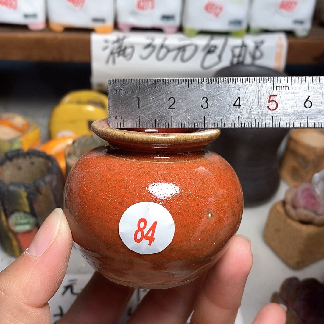 红陶拍5送一个小