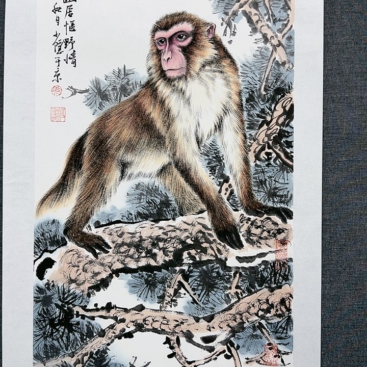 国画书画作品集等