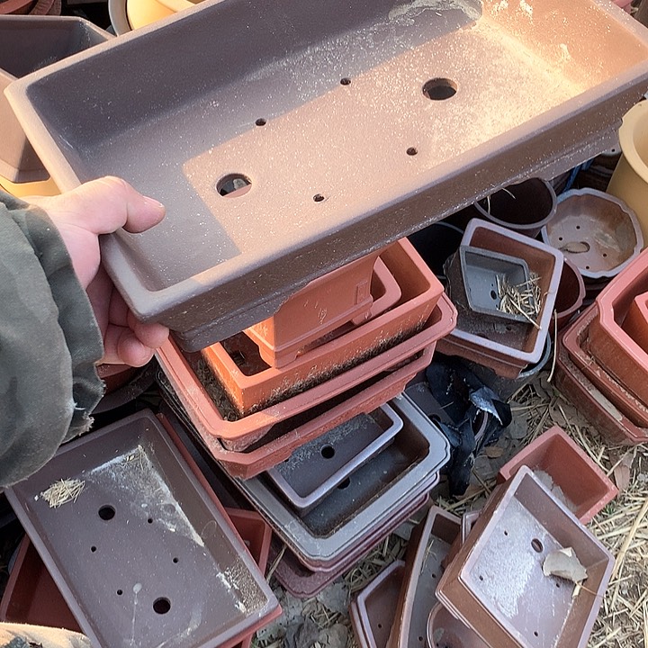 紫砂淘宝优惠券起单号