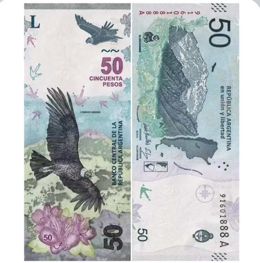 全新阿根廷50比索 纸币 动物秃鹰 外国钱币 南美洲货币 世界各国