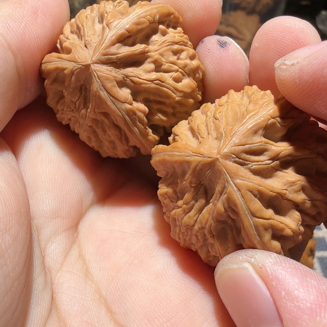 文玩核桃把件御龙正奔