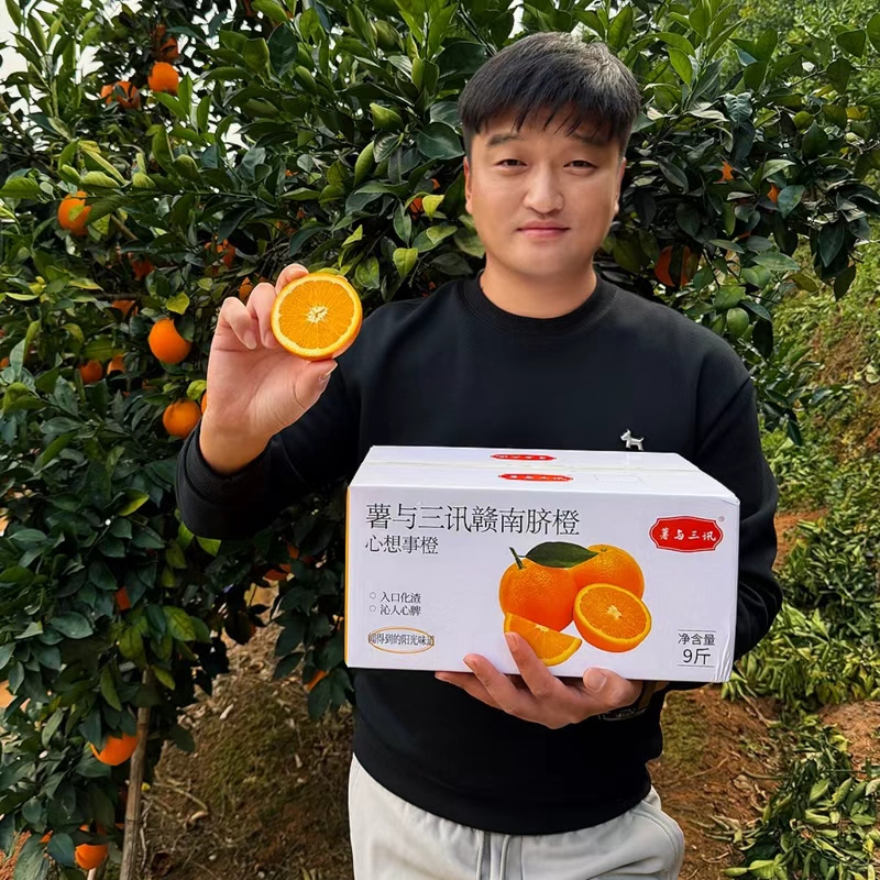 【薯与三讯】江西赣南脐橙4.5斤赣州橙子酸甜多汁京东快递