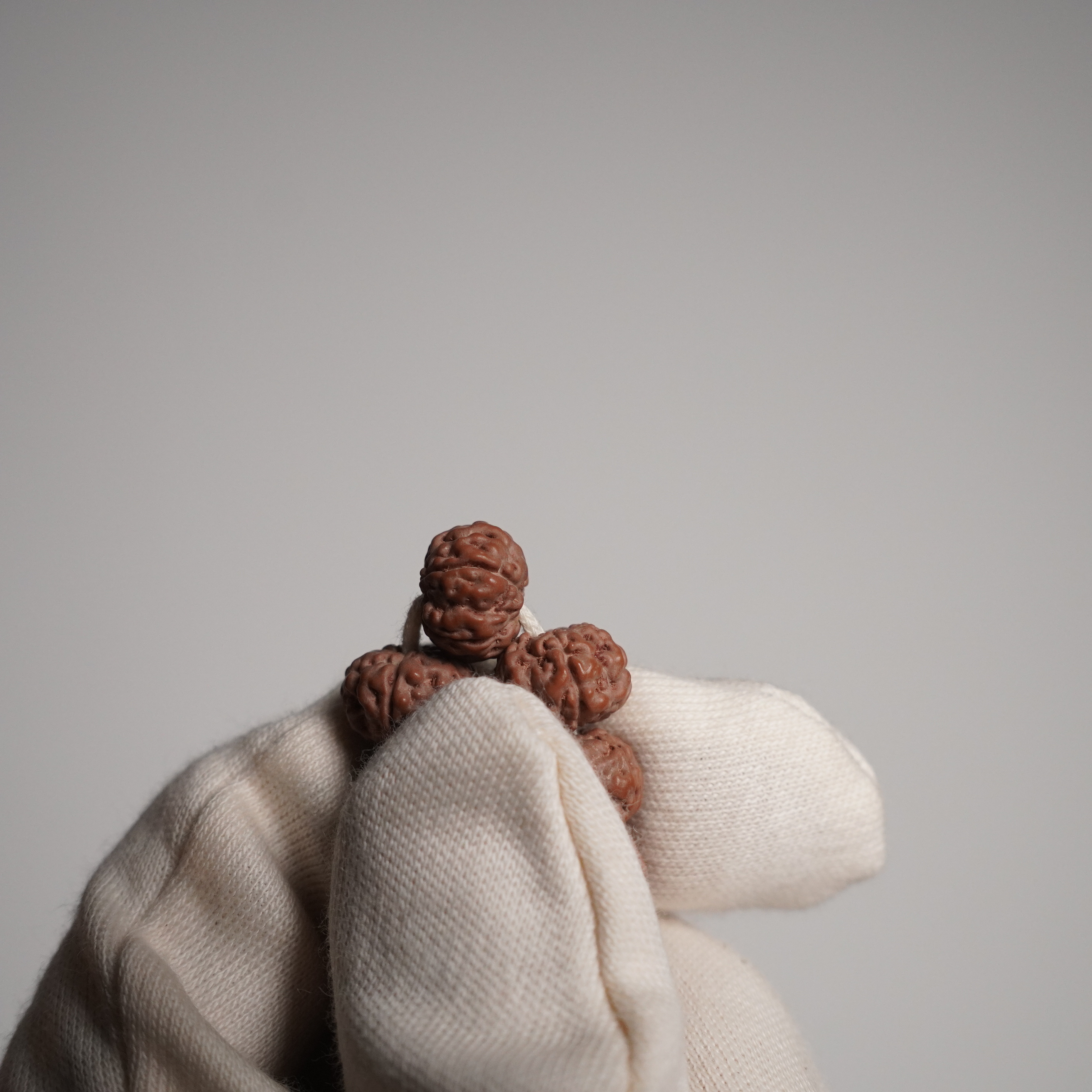 【聽風記出品】原桩稀缺品种巴比龙矮桩爆肉小金刚长串