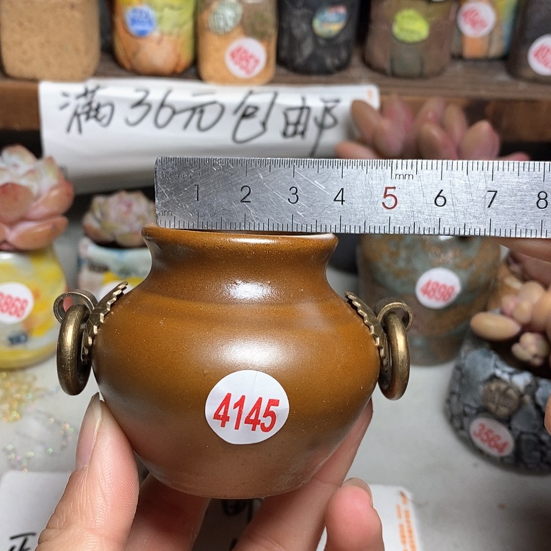 红陶拍5送一个小