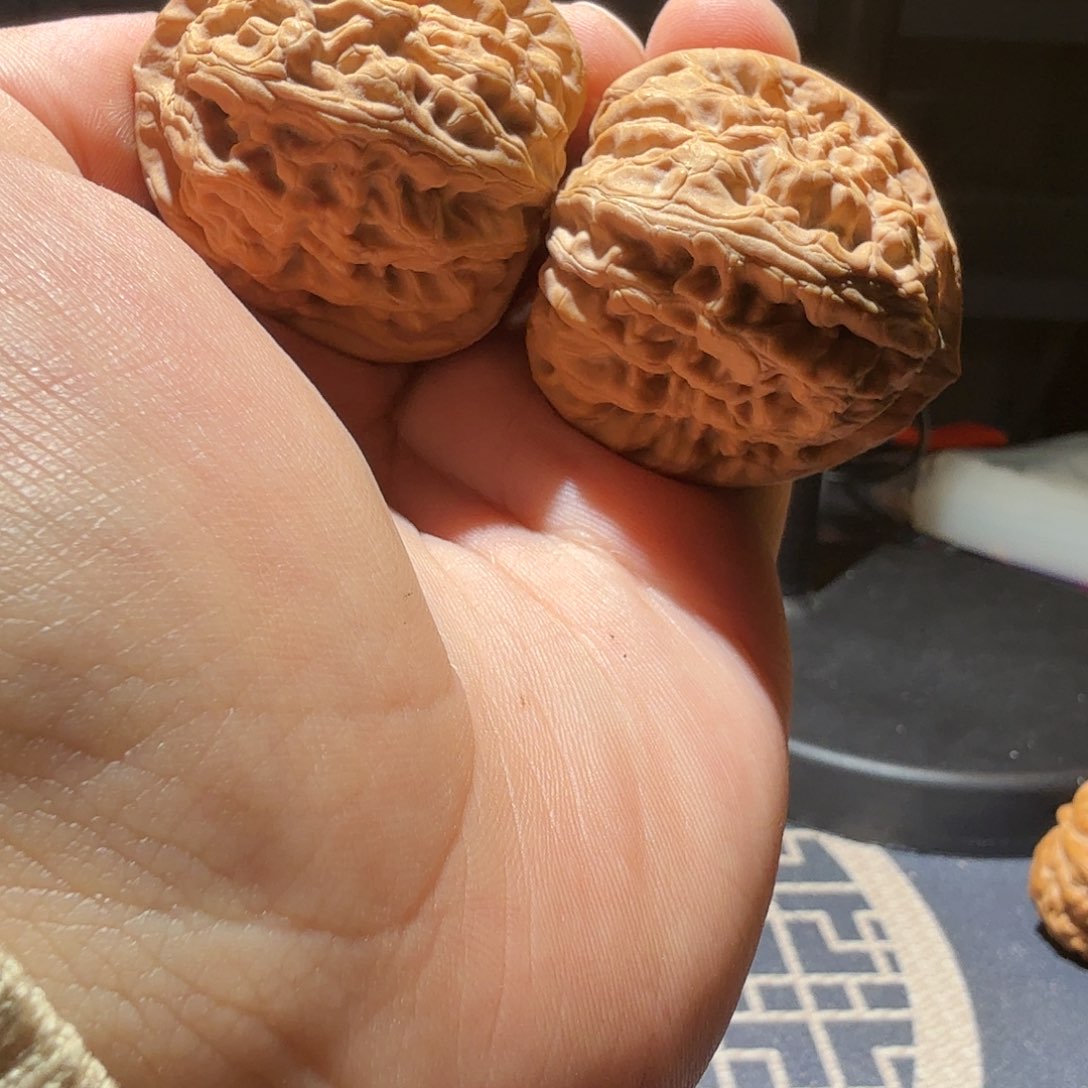 文玩核桃把件哈****雷红锦鲤