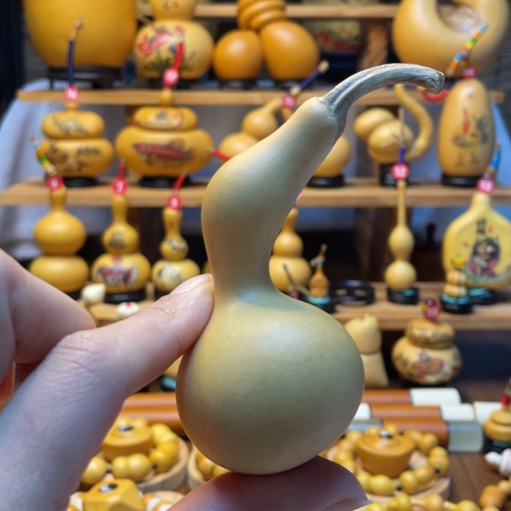 缘*天然葫芦自然生长缘分