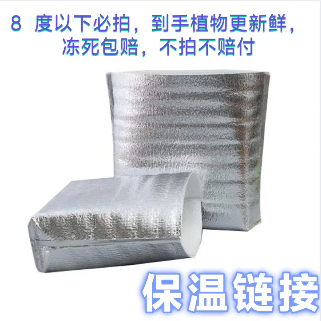 保温棉！保温链接，拍了冻坏包赔，不拍不赔付