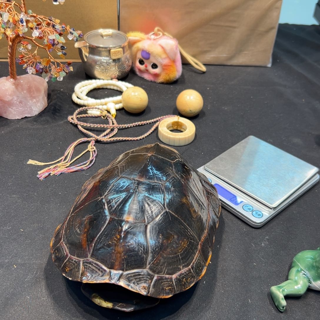 瓷器瓷器瓷器瓷器瓷器