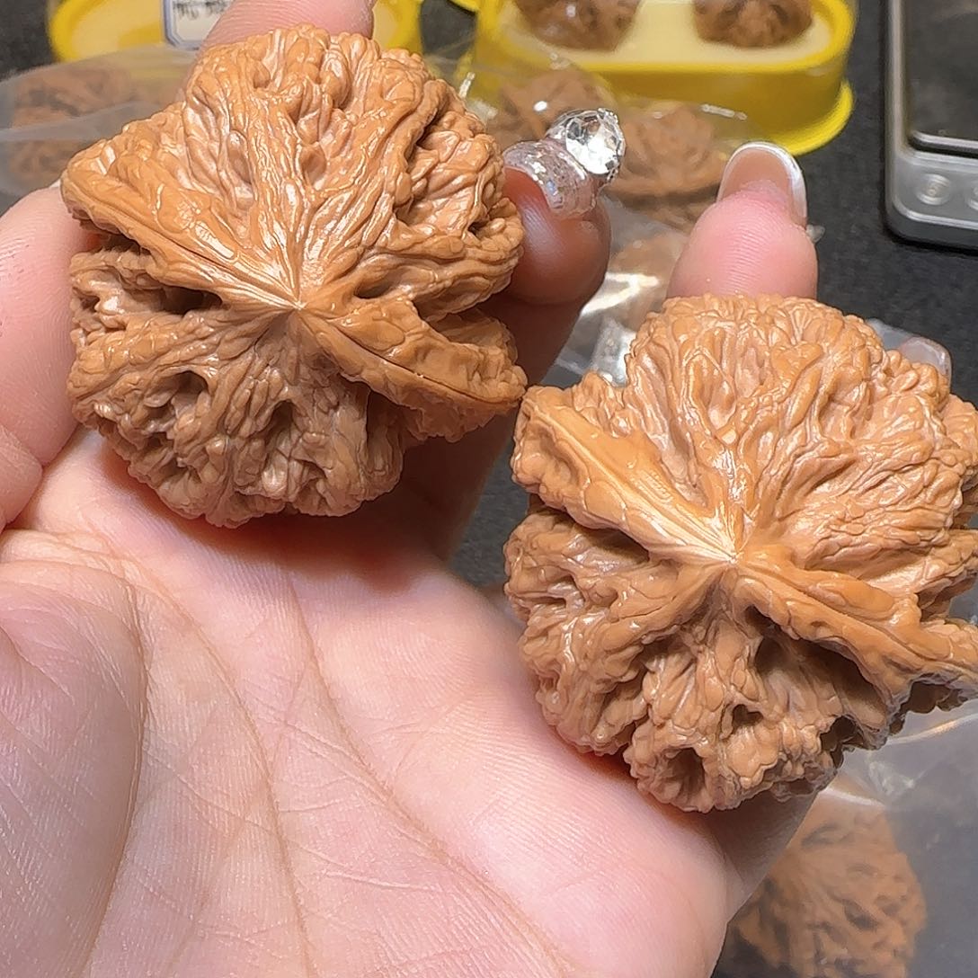 文玩核桃吊坠48粗筋福利对