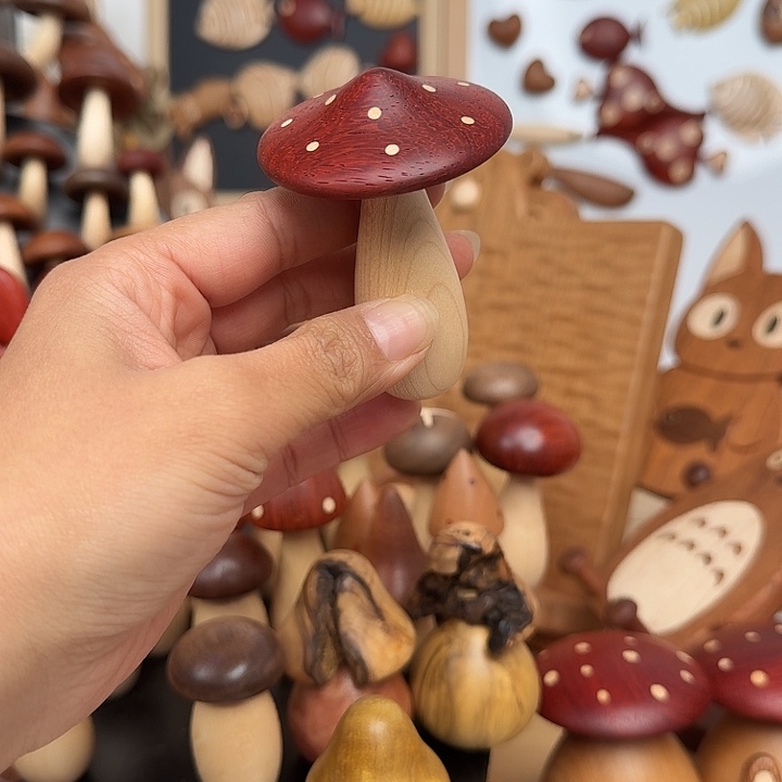 木尖头小开伞一个