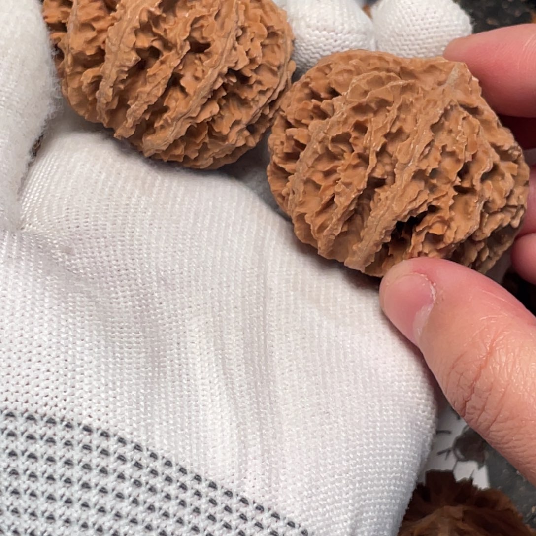 王****把件桃核8 秦岭灯笼野生小众