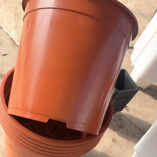 23公分红色圆盆6个