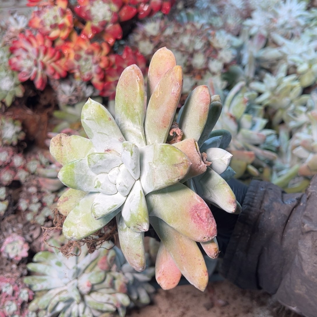 8702哈哈哈哈哈哈哈哈