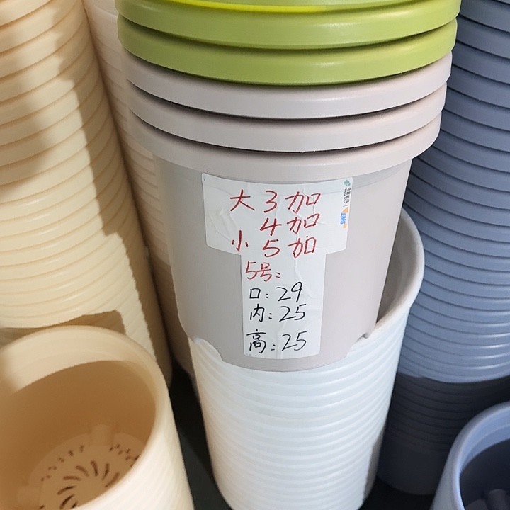 四季5#口径29灰白10个无托