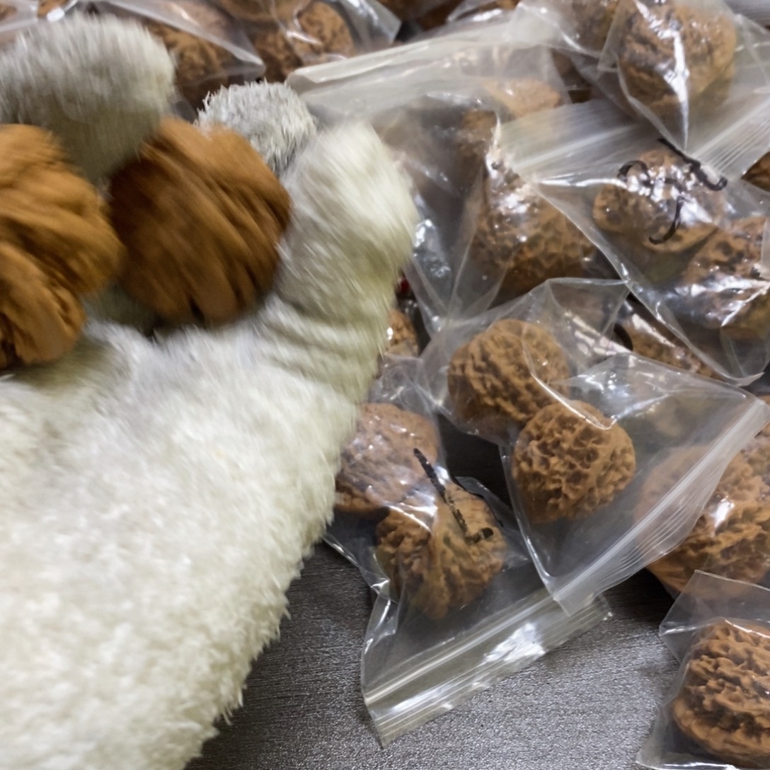 我***了秦岭森林茂密和大量珍贵