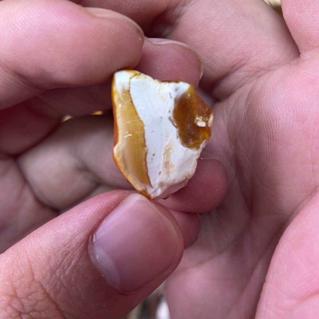 定制琥珀天然琥珀10圆珠