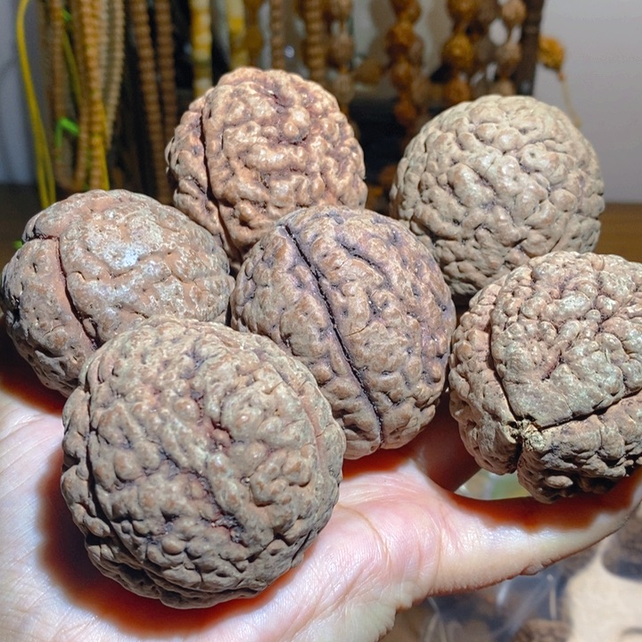 野生三瓣脑纹大金刚6颗