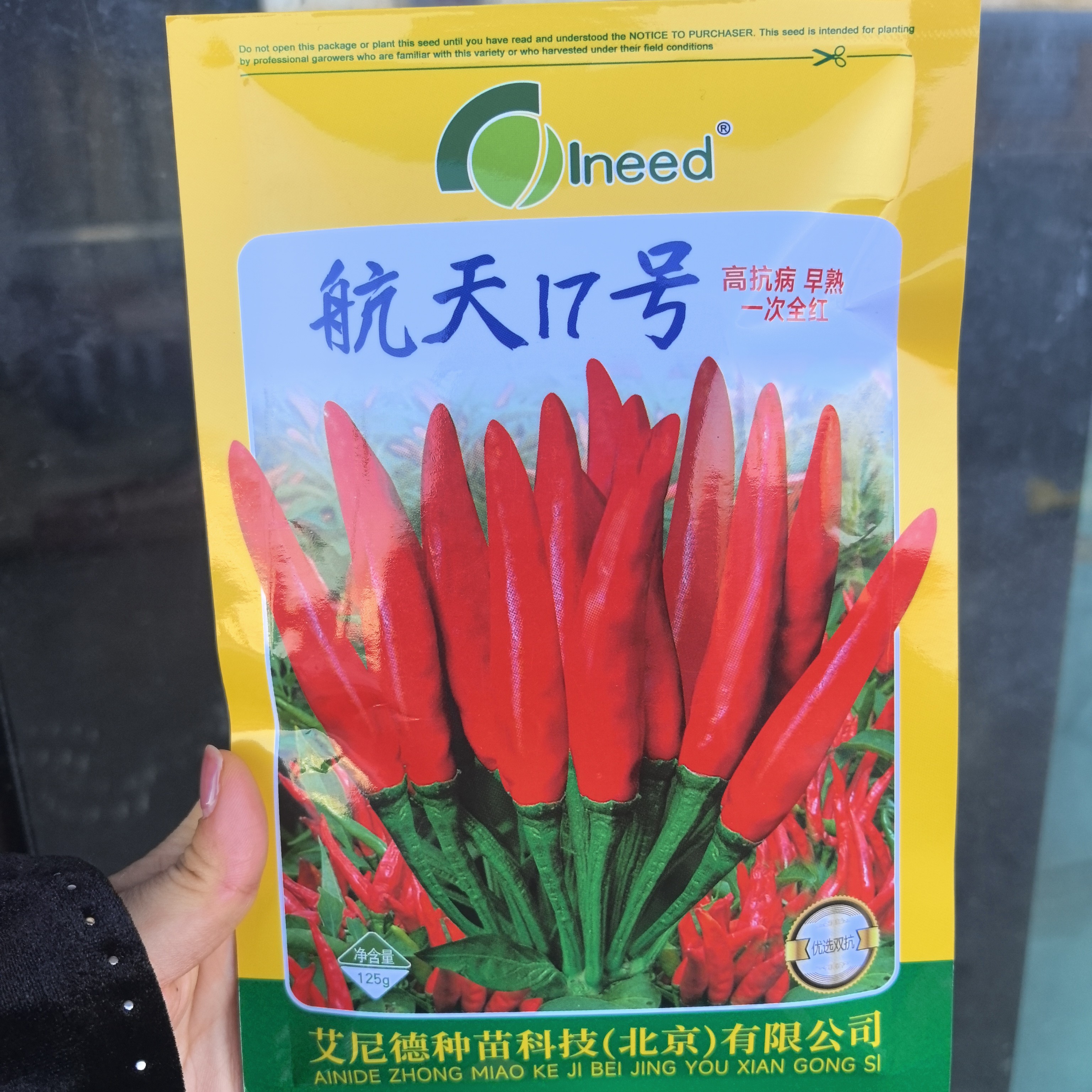 航天17号抗病早熟一次全红朝天椒