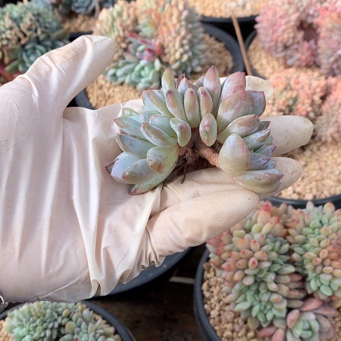 哈哈哈哈哈哈哈哈哈3