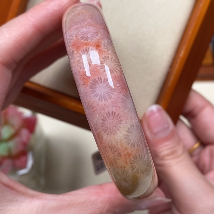 硅化珊瑚（珊瑚玉）手镯未镶嵌59.8